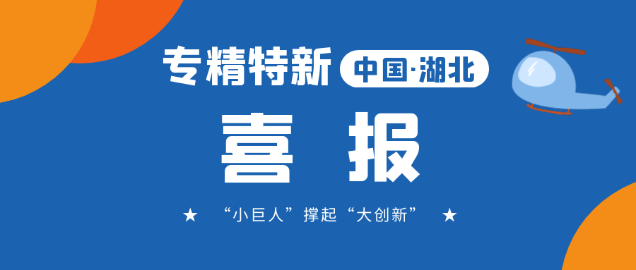 喜報!飛燕遙感成功入選省級專精特新“小巨人”企業(yè)